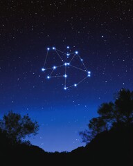 Wall Mural - night sky view of constellation ursa minor over silhouetted trees in rural landscape at twilight hou