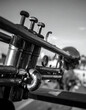© SolaruS - Striking monochrome image of a trumpet emphasizing texture and detail. Evokes themes of music, jazz, performance, and nostalgia. Perfect for artistic, cultural, or vintage projects.