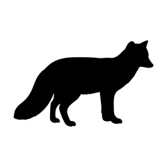 Poster - download black fox silhouette vector image for graphic design projects and illustrations now online 