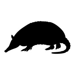 Fototapete - Armadillo silhouette vector illustration of mammal animal with armor shell and tail for design, 90
