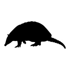 Poster - Armadillo silhouette vector image for graphic design projects and wildlife illustrations use now free