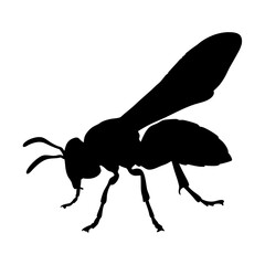 Leinwandbilder - Detailed silhouette of a wasp insect flying vector illustration for nature and wildlife art
