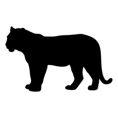 Poster - Download this stunning black tiger silhouette vector graphic for your design projects today free