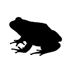 Poster - Frog amphibian silhouette vector graphic animal wildlife nature illustration design isolated clip art image