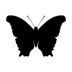 Poster - Butterfly silhouette vector illustration insect nature wildlife animal design graphic art drawing icon