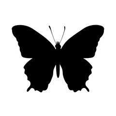 Leinwandbilder - Butterfly silhouette vector illustration insect nature wings flying animal design graphic art drawing black and white image