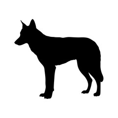 Leinwandbilder - Silhouette of a dog pet animal canine mammal domestic breed puppy vector illustration artwork