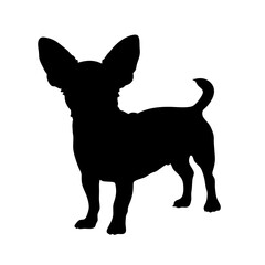 Poster - Chihuahua dog silhouette vector illustration pet animal canine breed puppy small dog art design icon