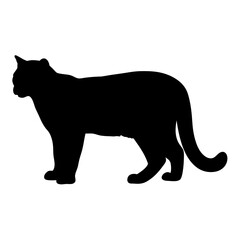 Leinwandbilder - Black cat silhouette vector illustration feline domestic animal pet mammal shadow graphic design art
