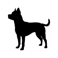 Poster - Dog silhouette vector pitbull terrier canine animal pet puppy breed domestic mammal illustration design