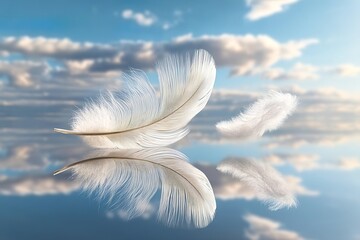 Wall Mural - two white feathers floating in the sky, with soft clouds and blue skies in the background. the