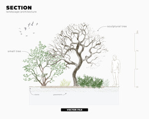 Aufkleber - Architectural Drawings, Minimal style cad tree line drawing, Side view, set of section garden, wetland forest outline for landscape design drawing. Vector illustration in separate element