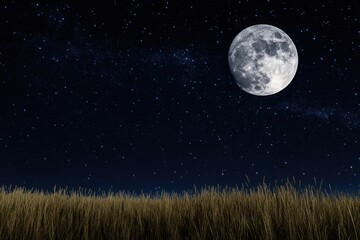 Wall Mural - full moon rising above field of tall grass under starry night sky scenic landscape view