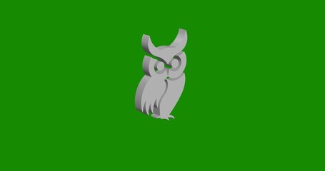 Poster - Isolated realistic white owl symbol front view with shadow. 3d illustration on green chroma key background