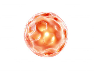 Poster - An abstract 3D rende depicts a translucent, glowing orange sphere with an organic, cellular texture against a clean white background, creating a soft effect.