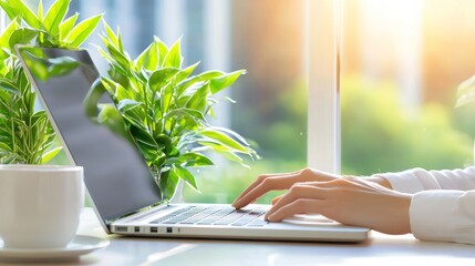 Aufkleber - Woman types on laptop near houseplants with bright sunny backdrop