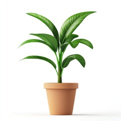 Poster - a terracotta pot plant, detailed shot.