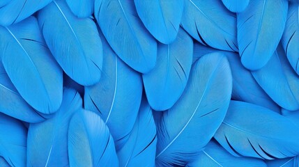 Poster - Many soft blue feathers are piled on top of each other