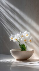 Poster - Close up of a Delicate White Orchid Floating in Still Water Surrounded by Soft Palm Shadows