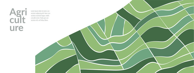 Wall Mural - organic rice field paddy wheat vineyard on green farm elegant vector design. abstract eco-friendly p