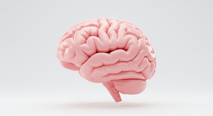 Aufkleber - Realistic pink human brain floating on white background representing intelligence and creativity
