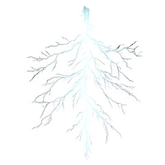 Poster - An ethereal depiction of branching patterns, reminiscent of a bolt on black background.