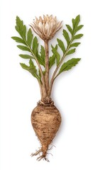 Poster - Detailed Pixel Art Illustration of a Plant with Brown Root, Green Leaves, and White Flower