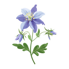 Wall Mural - a columbine wildflower clip art illustration design aquilegia vector