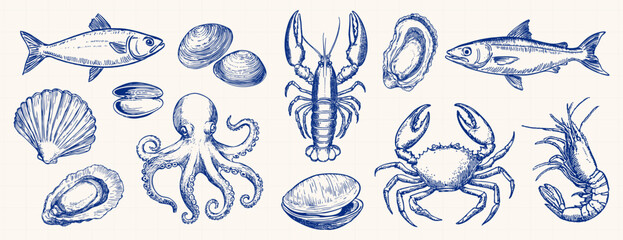 Vintage seafood illustration collection, element vector set