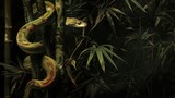 Jungle Snake on Bamboo