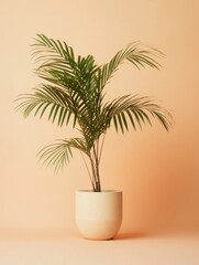 Poster - Soft Minimalist Palm Biophilic Interior Design Element for Wellness Spaces, Sustainable Living and Modern Home Styling with Warm Organic Aesthetics