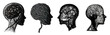 © practice  - Illustration of a human head silhouette depicting complex thoughts and emotions through intricate sketches and lines isolated on transparent background