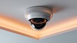 © Mia - Dome CCTV camera on ceiling