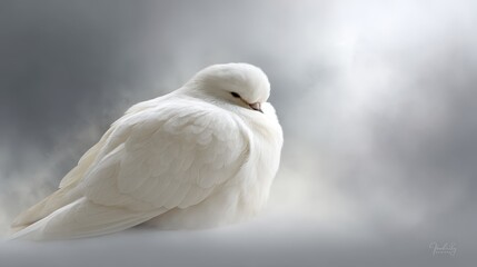 Aufkleber - A white bird is resting quietly, its feathers fluffed, surrounded by a soft-focus, foggy background that enhances the serene mood of the moment