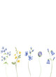 © Larisa - Greeting card template with watercolor wild flowers, floral border with place for text. Illustration hand painted. Isolated on white background.