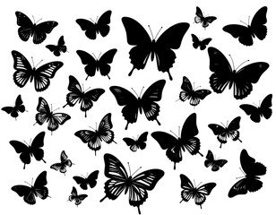 Poster - Monochrome butterflies flutter across a dark background