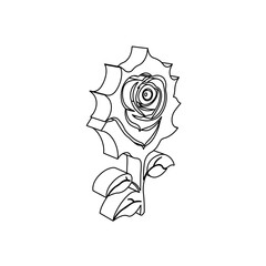Poster - the outline of a large rose flower is made with black lines. 3d view of the object in perspective. v