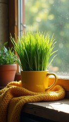 Poster - Cozy indoor scene with fresh green grass growing in yellow mug on wooden windowsill with soft yellow knit scarf
