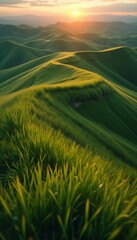 Poster - Golden Hour Over Rolling Green Hills and Grassy Plains at Dusk, Landscape Beauty with Grass in the Foreground