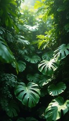 Poster - Lush Tropical Foliage with Monstera Leaves and Ferns in a Verdant Jungle Setting