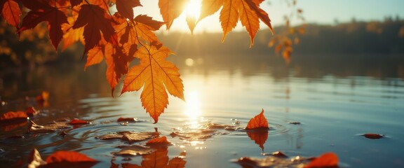 Aufkleber - Golden autumn leaves hang over a tranquil lake at sunset, with reflections and floating leaves