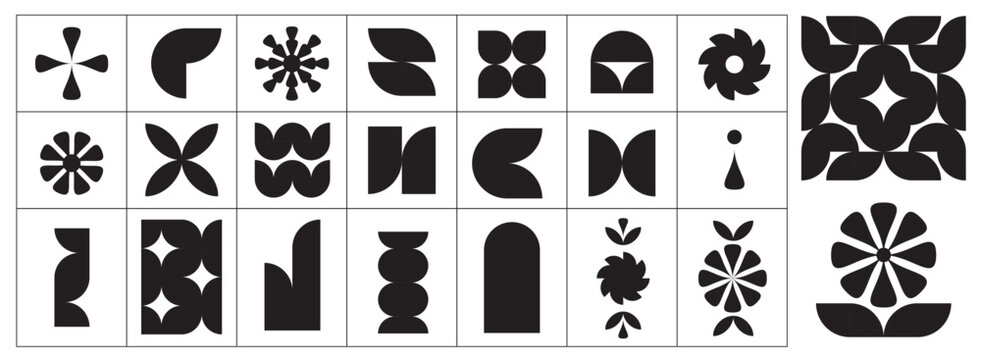 Flower shape vector, floral icon set, flowers vector silhouette, symmetrical floral patterns, petals, abstract blossoms, nature design floral elements illustrations. Different Figures of decorations