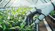 © dudesign - A robotic hand tending green plants inside a modern greenhouse, symbolizing technology in agriculture.