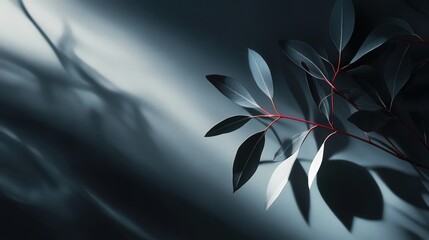 Poster - dramatic overlay shadows that create depth and dimension, highlighting a textured surface and its delicate features