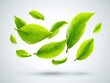 © Tam5 - Fresh green tea leaves floating in air on white background studio shot for a natural organic concept