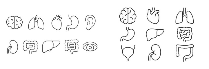 Aufkleber - Line art of human organs and systems in a minimalist design showcasing anatomy and health education concepts