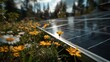 © 楠 刘 - Close-up low angle shot of solar cell panel in natural meadow with wild flowers and green grass under bright sunlight and blue sky, emphasizing renewable energy, sustainability, and clean outdoor powe
