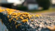 © Rex - Orange substance on concrete