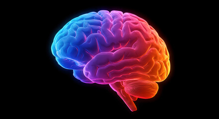 Poster - Colorful 3D Render of Human Brain with Intricate Details on Black Backdrop with Glowing Blue to Red Gradient