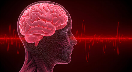 Poster - Digital Illustration of Pink Brain Within Human Head with Red Sound Waves on Dark Red Backdrop